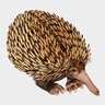 EchidnaMedia